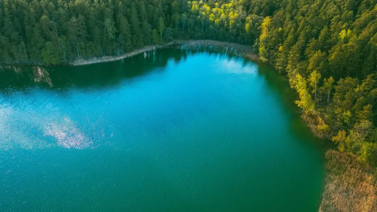 Zachwycające jezioro turkusowe otoczone gęstym lasem. Woda lśni, odbijając niebo i drzewa.