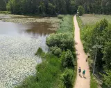 Spacer po malowniczej ścieżce nad jeziorem z liliami wodnymi. Idealne fajne miejsca niedaleko Częstochowy na relaks.