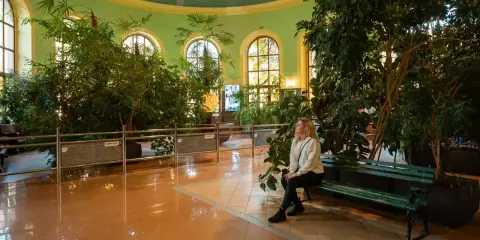 Kobieta odpoczywa w Palmiarni w Kudowie-Zdroju. Idealne miejsce, by zastanowić się, co robić wieczorem w okolicy.
