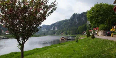 Kwiaty na drzewie i zielona trawa nad rzeką, w tle skaliste góry i miasteczko. Idealne miejsce na spacer, jak z **bastei cennik** wycieczki.
