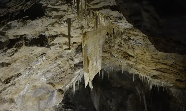 W jaskini wiszą naciekowe draperie, tworząc naturalne, kamienne zasłony.