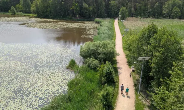 Spacer po malowniczej ścieżce nad jeziorem z liliami wodnymi. Idealne fajne miejsca niedaleko Częstochowy na relaks.
