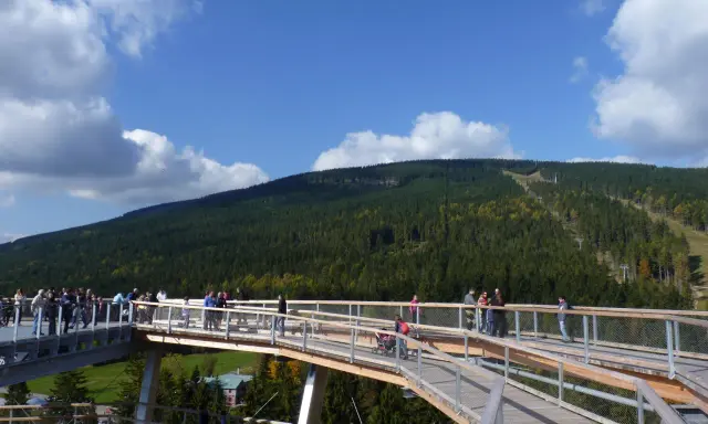 Spacer po koronach drzew w Karpaczu. Widok na las i góry.