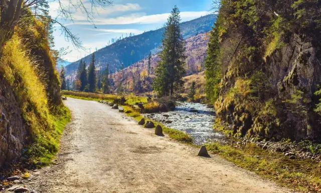 Ścieżka w górach prowadzi nad potokiem, otoczona jesienną roślinnością. Idealne miejsce na odkrywanie ciekawych miejsc w górach.
