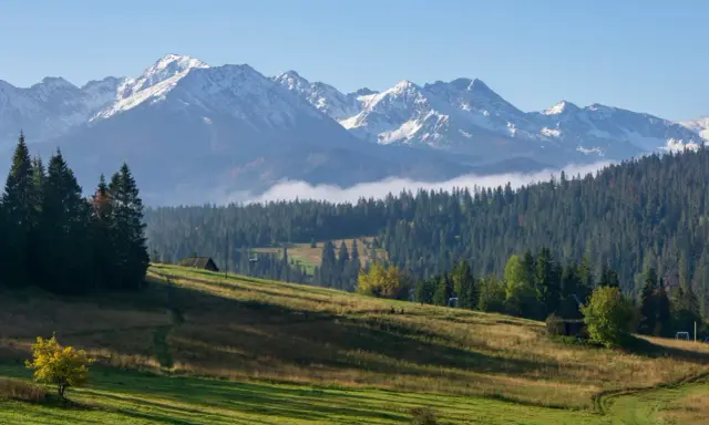 Gubałówka ile metrów? Widok na ośnieżone Tatry z zielonych zboczy, lasów i mgły.